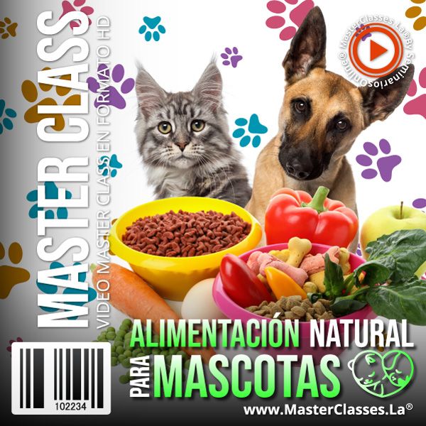 APRENDE A ALIMENTAR A TU PERRO